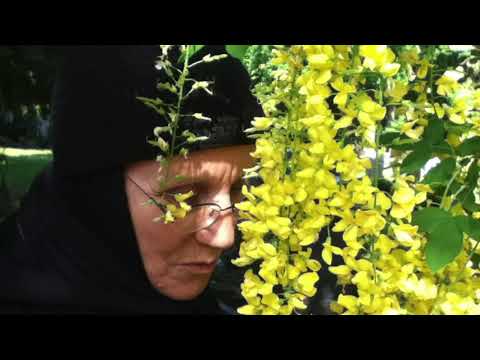 [Maica Siluana] Ascultarea cu Dumnezeu, cea mai eficientă formă de ascultare