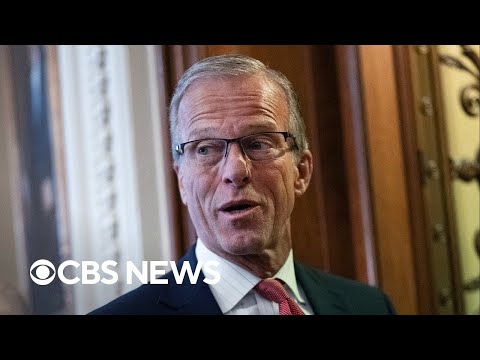 Thune under pressure from Trump to fire Senate parliamentarian over voter ID bill