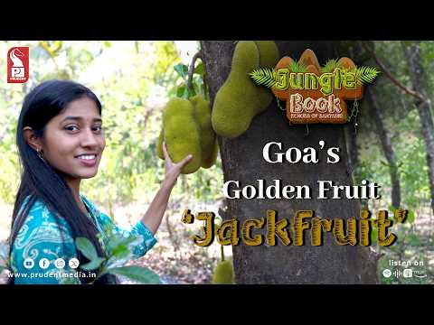 Jackfruit Diaries | Taste of a Goan Summer | Jungle Book | Epi 8 | 280426