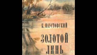 Краткое содержание Паустовский Золотой линь