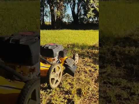 #matilde #nuestracasa #short #shorts #shortvideo #shortsvideos #aca #accioncatólica