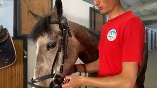 KAYSERİ BÜYÜKŞEHİR’İN MADALYA AVCISI SPORCULARINDAN 8 AYDA 393 MADAYLA