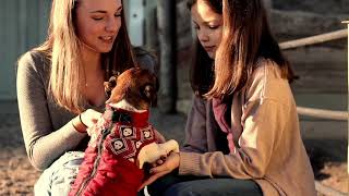 Alex // I&#39;ll Remember by Nathan Hawes