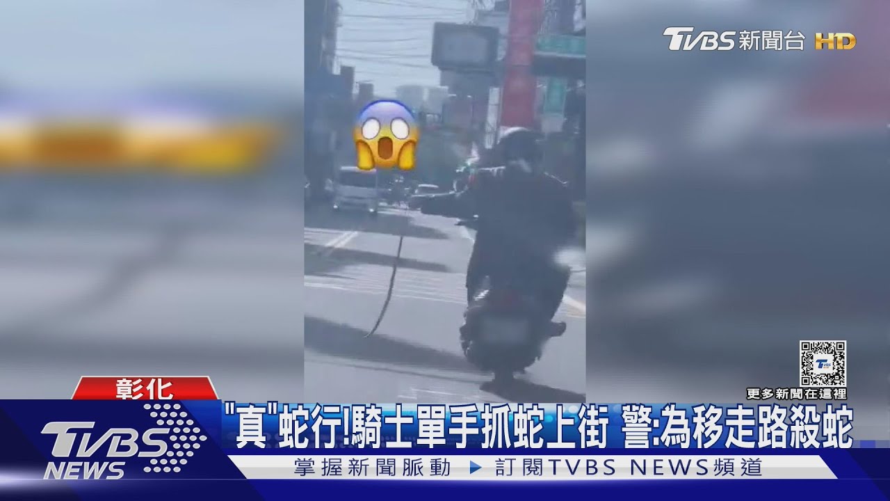 「真」蛇行! 騎士單手抓蛇上街 警:為移走路殺蛇