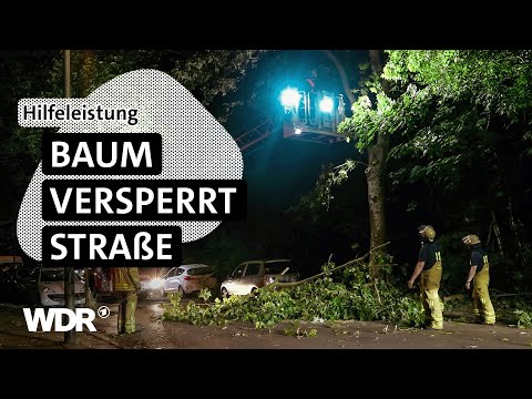 Einsatz um Mitternacht: Abgebrochener Ast droht herunterzufallen | S09/E02 | Feuer & Flamme | WDR