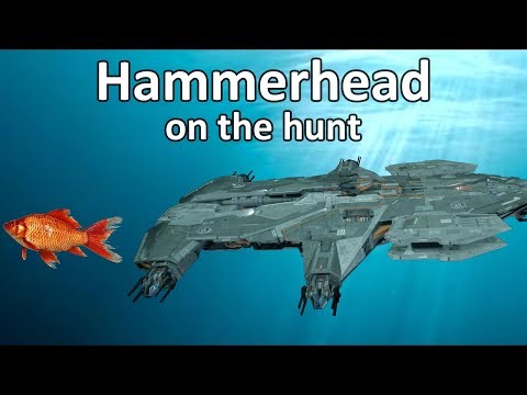 3.3.0 V PTU Hammerhead on the hunt (funny bug)