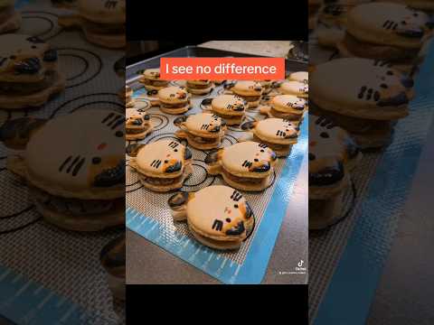 Cat Macarons- Part 1: Mochi #cat #cookies #diy