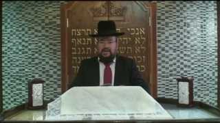 פרשת במדבר – תורה במסירות נפש