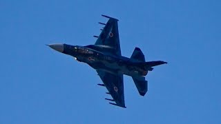 百里基地航空祭2025　第3飛行隊F-2機動飛行