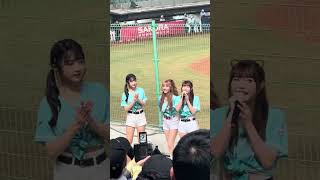 【TeamTaiwan】#衣宸 #禹菡 #包子 #冬季聯盟@斗六棒球場 20241130 #台湾チア #cheerdance #cheerleader #cpbl #awb #啦啦隊 #山林隊
