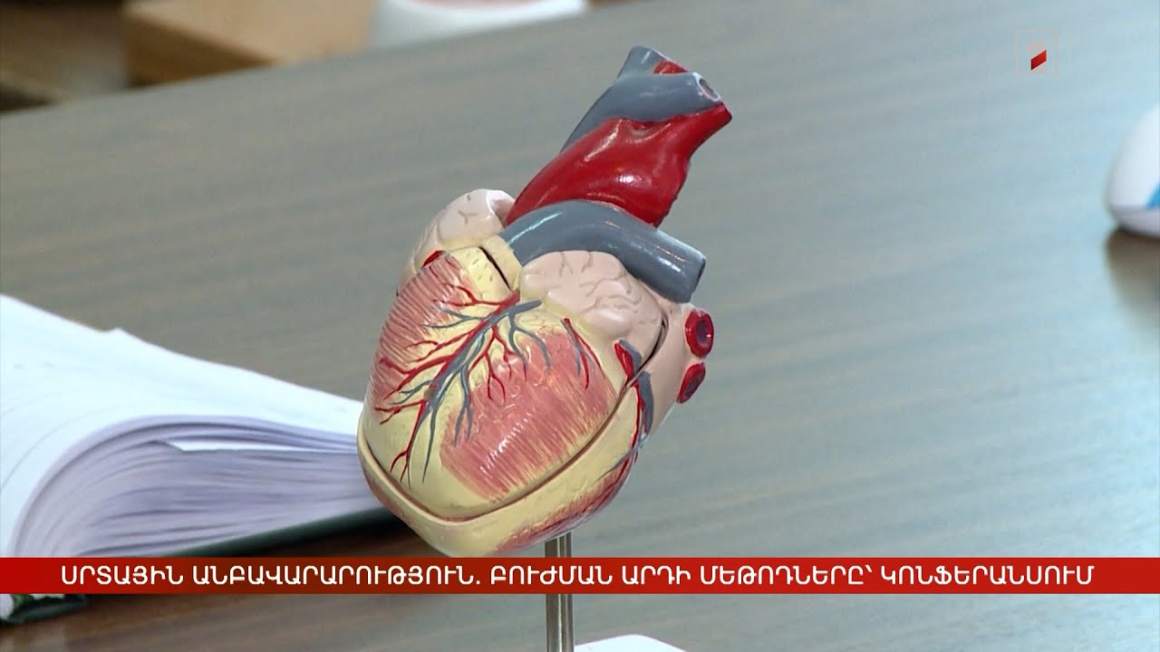 Սրտային անբավարարություն. բուժման արդի մեթոդները՝ հայ-գերմանական կոնֆերանսում