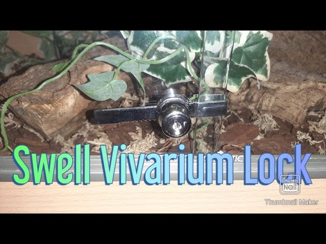 Vídeo relacionado con Cam LockSliding Blade Saw Lock with Key Different, Reptile Vivarium Terrarium Showcase Display Case Lock, Ratchet Lock Cabinet Glass Door Lock (Silver 1 PACK)(Silver 1 Pack)