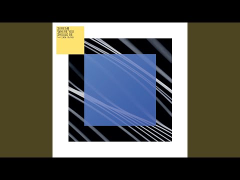 Where You Should Be (Shy FX Remix)