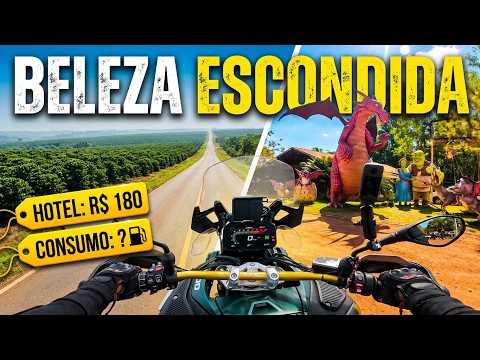 Expedição Rondônia: A beleza escondida na 429