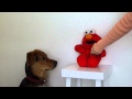 Tickle Me Elmo And Basco