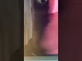The Incredibles Mom And Dad Fighting Scene In Luig Group