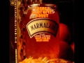 The Marmalade - I See the Rain