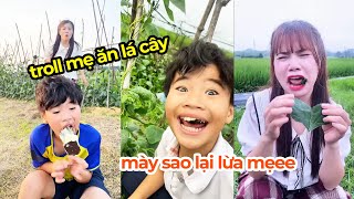 Tổng hợp video siêu hài hước troll mẹ cực vui, ăn lá cây lừa mẹ và cái kết