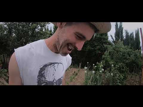 Hermanos Bastardos | E-nvenenaos