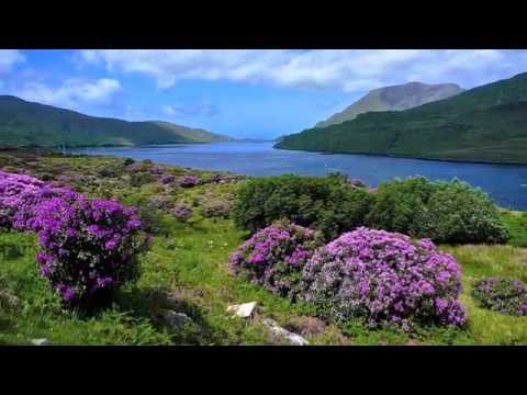 "The Irish washerwoman " by Leroy Anderson