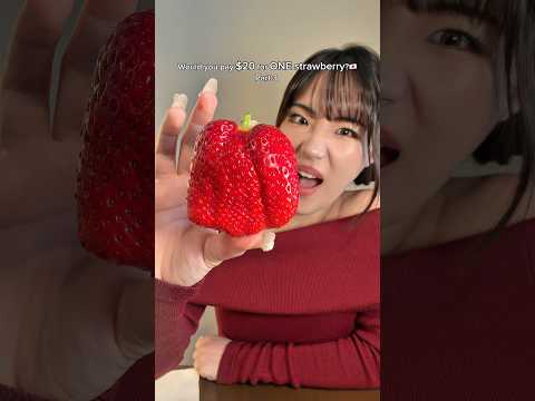 The most EXPENSIVE Strawberry I’ve ever tried😂🇯🇵 $20 for ONE!?