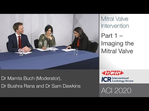 BCIS ACI 2020 Roundtable: Mitral Valve Intervention — Part 1/3