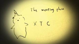 XTC / The Meeting Place Melodion Acoustic Cover