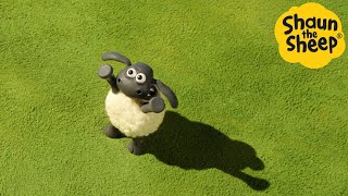 Shaun the Sheep 🐑 Timmy Catch! - Cartoons for Kids 🐑 Full Episodes Compilation [1 hour]
