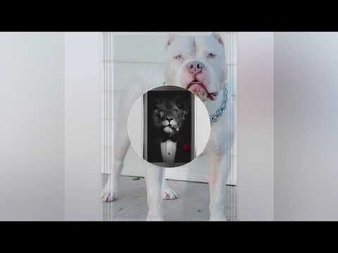 Fanta Stika-A. K. A - See Juhtub Sinuga