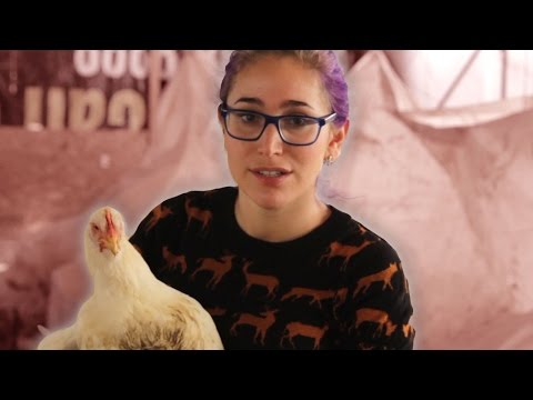 Foodies Kill Their Food For The First Time