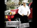 el tigrillo palma - el pajarraco