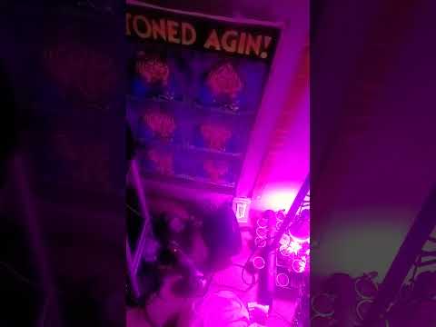 RapdogCali209 #shorts