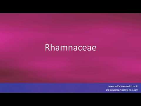 Pronunciation of the word(s) "Rhamnaceae".