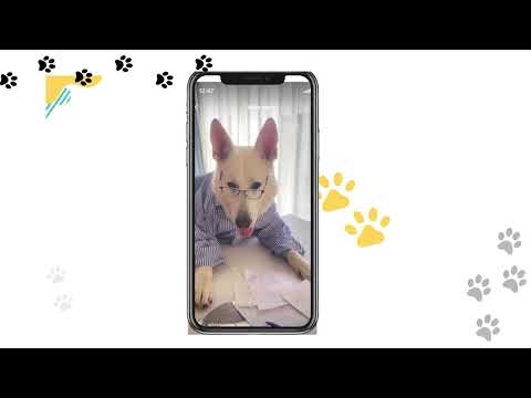 Vydáváme knihu "Rocky na korsické stopě"