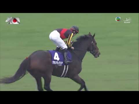 2020 一哩冠軍賽 Mile Championship 放聲歡呼 Gran Alegria グランアレグリア 李慕華