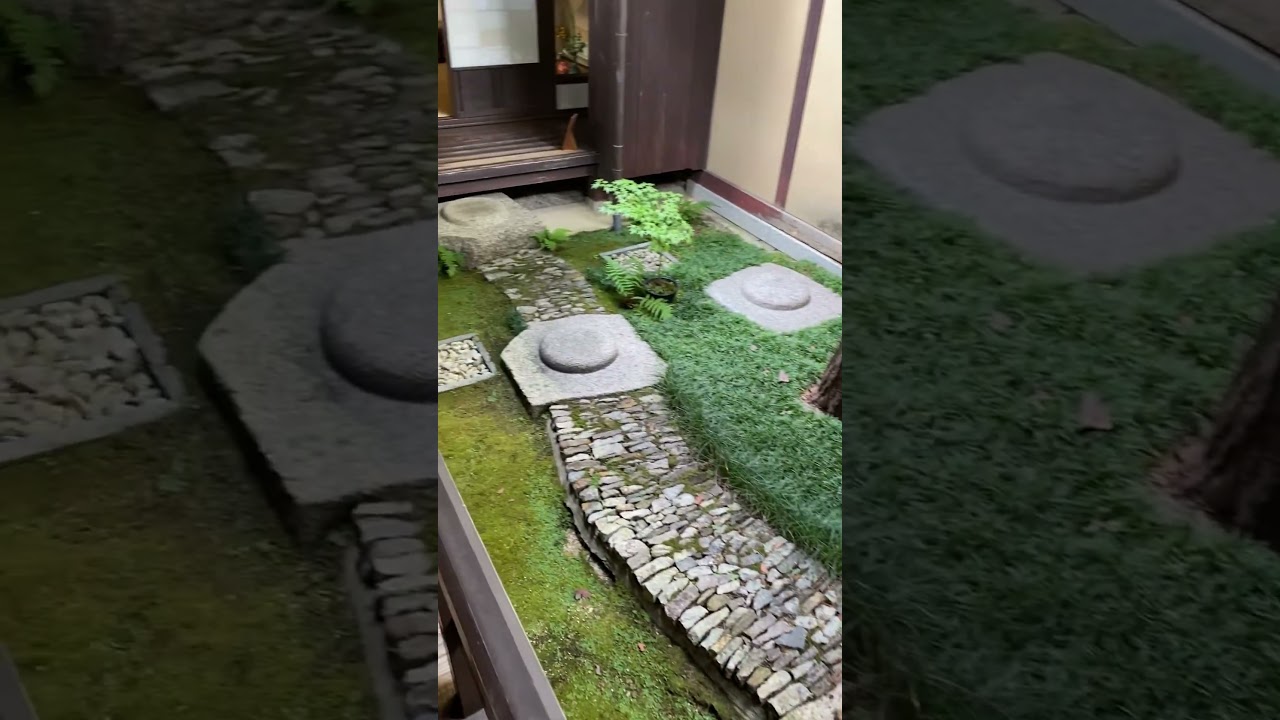 YouTube Short thumbnail