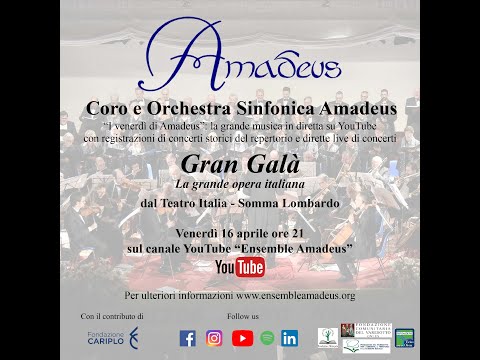 Gran Galà - Coro e Orchestra Sinfonica Amadeus