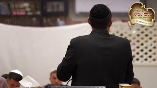 סליחות בשידור חי!!!עם הרב יוסף חיים גבאי שליט"א (הרב יוסף חיים גבאי) - התמונה מוצגת ישירות מתוך אתר האינטרנט יוטיוב. זכויות היוצרים בתמונה שייכות ליוצרה. קישור קרדיט למקור התוכן נמצא בתוך דף הסרטון