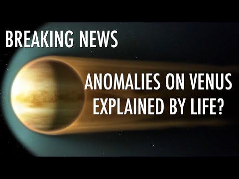 image-What does Venus surface feel like?
