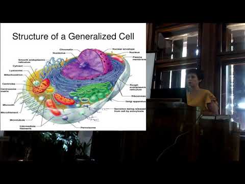 Доц. Др Татјана Самарџија - КАКО ЗНАМ ДА ЈЕ БИБЛИЈА БОЖИЈА РЕЧ?