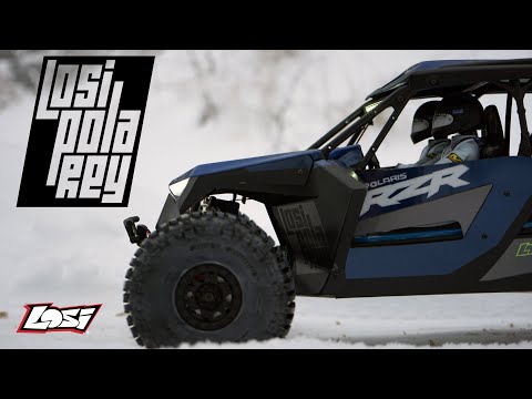 LOSI POLAREY - 1/7th Polaris RZR Pro R