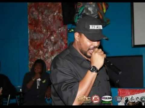 Blown In The V.I.P. Promo (Feddi)