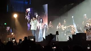Smpp - Gazzelle Rimini RDS STADIUM 27/02/19