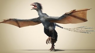 A new dinosaur: Flying without feathers