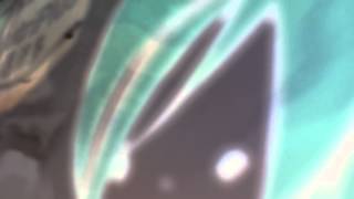 Shawn Colvin. I&#39;ll say I&#39;m sorry now (cover)