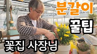 꽃집 사장님이 알려주는 꿀팁!   이러니 죽었지