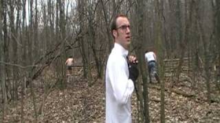 Brian Eno Here Come the Warm Jets