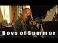 Boys of Summer (Don Henley) sung by Melissa Etheridge