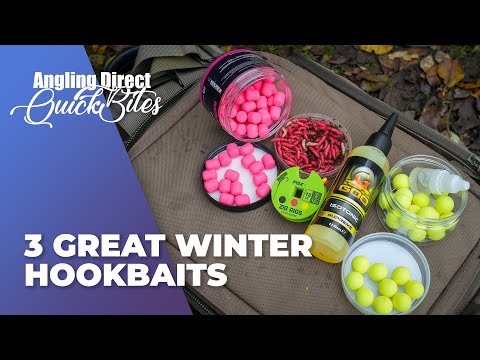 3 Great Winter Hookbaits – Carp Fishing Quickbite