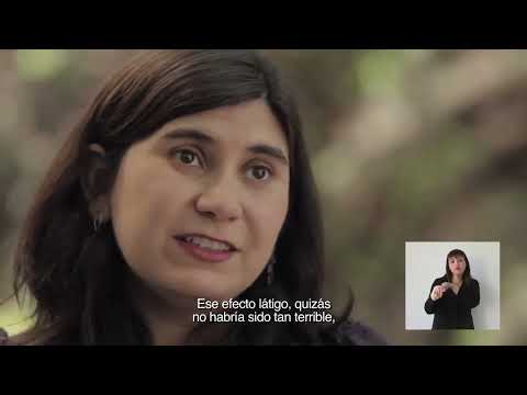 Tu seguridad nos mueve CONASET Tolerancia cero consumo